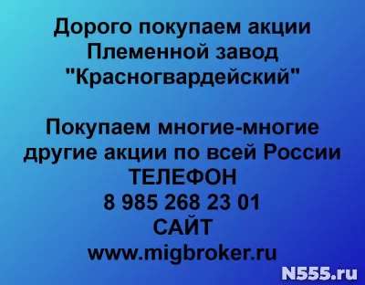 Покупаем акции «Племенной завод Красногвардейский»