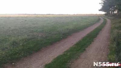 Продам участок 2 га в Севастополе фото 1